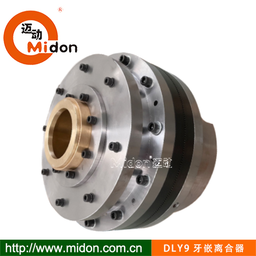 DLY9牙嵌離合器1.jpg