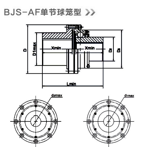 BJS-AF單節(jié)球籠型.jpg